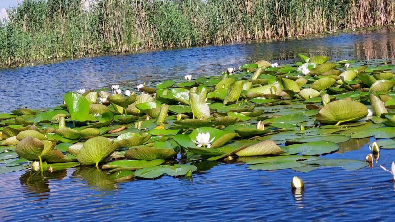 Pensiunea Nest Дунавэцу-де-Жос Экстерьер фото
